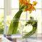 Glass Dispaly Hurricane Pillar Votive Taper Candle Cups