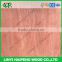 0.3mm Rotary Cut Red PNG Face Veneer For India Market