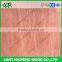 Linyi Yatian Manufacturer 0.3mm Natural Red PNG Face Veneer For India Plywood