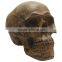 Halloween party decoration resin skull heads