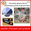 Hot melt Adhesive Film