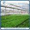 Large Plastic Agricultural Greenhouse PE Flim Hot Sale
