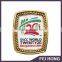 Own design custom made wholesale printing lapel pin for promotion gift