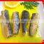 Canned Sardines in Vegetable Oil 125g