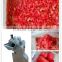 electric vegetable dicer, vegetable cutter, CHINA FD