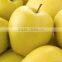 We are supply fresh Golden delicious with best prices for sale