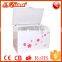 BD-259 Double door solid energy save chest freezer mini fridge for icecream