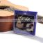 Wholesale High Quality Box Pack Acoustic Guitar Strings A100/A110/A120