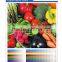 Eco-solvent PET Film/inkjet media/PP paper matte/inkjet advertisement