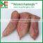 BEST SELLER: SWEET POTATO from China
