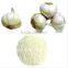 2013 New Crop Garlic Powder
