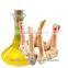 Galangal oil