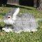 Real Size Rabbit Gray Grey Easter Bunny Taxidermy