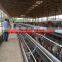 TAIYU Best Sale Chicken Egg Layer Cages System