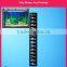 Aquarium Thermometer with Customized Shape and Printing