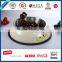 stainless steel pet bowl for food and water