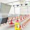 2015 New Design Whole Poultry Farm Equipment for Broilers and Breeders Made in China