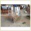 Small model stainless steel chicken feet peeler machine, chicken feet skin removing machine