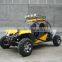renli 500cc street legal dune buggies