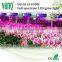 300w cob led indoor grow light kits , grow lamp for grow tent kit