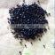 PA6 Pellets GF25%/30% glass fiber filled engineering plastic PA6/Glass fiber reinforced pa6 gf30 /nylon 6 granule