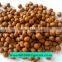 Professional Pet Food Salmon and Tuna