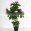 SJ3000102 Indoor bonsai peony flower plant plastic tree