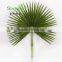 SJLJ013735 cheap artificial leaves UV resistant artificial palm tree leaves