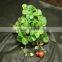 polypropylene film weed blocking ground cover