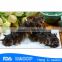 Nutritious low-fat frozen cooked sea cucumber