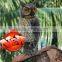 Lifelike Owl Scarecrow with Bobble Head