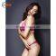 HSZ-G5019 Latest Fashion Sexy Seamless Bra Set 2017 New Design TV Women Hot Lace Underwear Lingerie Lady Stylish Panty Sleepwear