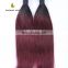 1b 613 two tone color remy human hair