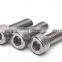 Titanium alloy Hex Socket Bolts used for cars and motorcycles