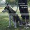 Quickly release dog harness soft material outdoor pet harness full size