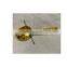 Gold & Silver Luxury Spoon