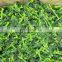 Sinocharm Taste Good IQF Frozen  Vegetable Frozen Rape Flower