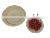Disposable Party One Time Use Dishes Palm Leaf Dinner Plate Eco Friendly Biodegradable Square Plates 10 inch