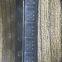 TPS54302DDCR Texas Instruments IC REG BUCK ADJ 3A TSOT23-6