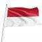 Sea, air services from China to Indonesia DDP/DDU  DHL/UPS/FedEx