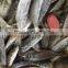 20 cm 25 cm Frozen Freeze Horse Mackerel