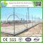 Black 6ft chain link fence for tree protection