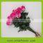 Fresh cut rose plants