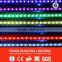 3528 SMD DC220 60pcs LED rope light IP67 super bright green color