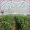 Greenhouse Polycarbonate Hollow Sheet for sale