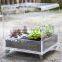 Custom acrylic plant stand, plant holder, indoor plant stands