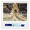 Simulation plant petrified wood