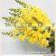 kunming supplier purple light color fresh cut flowers antirrhinum for newyear