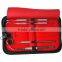 New Dental Instruments Kit Set of 5 pieces