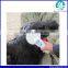 134.2KHz ISO 11784/85 FDX-B format animal glass tag ear tag reader